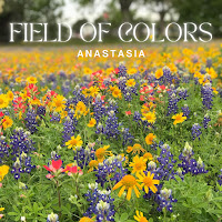 Anastasia - My Country Is Ukraine загрузить
