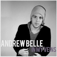 Andrew Belle - In My Veins загрузить