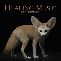 Animal Melody Wizard - Pet Sleeping Therapy загрузить