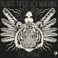 Apashe - The Grave Feat. Gabriella Hook (Feat. Gabriella Hook) Ft Black Tiger Sex Machine загрузить