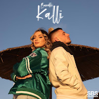 Bardhi - Kalli загрузить