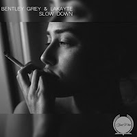 Bentley Grey - Slow Down (Chris Arna Remix) Ft Lakayte & Chris Arna загрузить