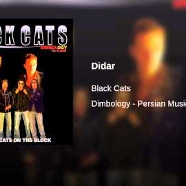 Black Cats - Didar (Feat. Sami Beigi) загрузить