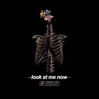 Brennan Savage - Look At Me Now загрузить