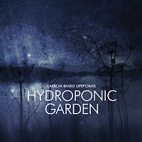 Carbon Based Lifeforms - Neurotransmitter загрузить