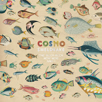 Cosmo Sheldrake - Solar Waltz загрузить