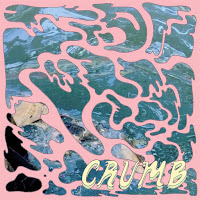 Crumb - Bones загрузить