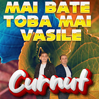 Curnut - Tineretea Mea Trecucuta загрузить