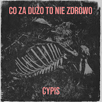 Cypis - Co Za Dużo To Nie Zdrowo загрузить