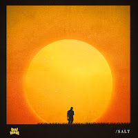 Dai Verse - Salt загрузить