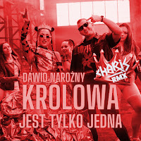 Dawid Narożny - Królowa Jest Tylko Jedna (Charis Rmx) загрузить