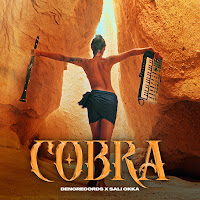 Denorecords - Cobra Sali Okka загрузить