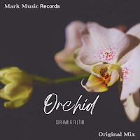 Dirham - Orchid Ft Riltim загрузить