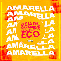 Dj Bryanflow - Deja De Quemarme El Chaleco Eco (Amarella Amarella) загрузить