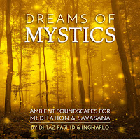 Dj Taz Rashid - Dreamtime In The Bush (B Minor - Therapeutic Music) Ft Ingmarlo загрузить