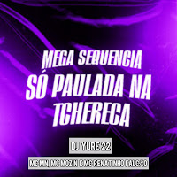 Dj Yure 22 - Mega Sequencia Só Paulada Na Tchereca Ft Mc Mn & Mc Renatinho Falcão & Mc Mozin загрузить