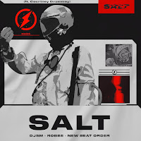 Djsm - Salt Ft Robbe & New Beat Order загрузить