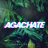 Donny Duardo - Agachate загрузить