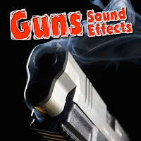 Dr. Sound Fx - Black Powder Gun Single Shot загрузить