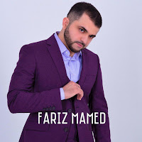 Fariz Mamed - Забыть Навсегда загрузить
