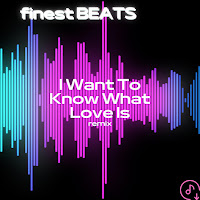 Finest Beats - I Want To Know What Love Is (Remix) загрузить