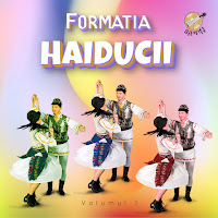 Formatia Haiducii - Ne-Am Despărțit Si-Mi Pare Rău загрузить
