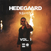 Hedegaard - Astronaut In The Ocean (Hedegaard Festival Remix) загрузить