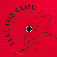 Ian Asher - Feel The Same (Feat. Ruthanne) загрузить