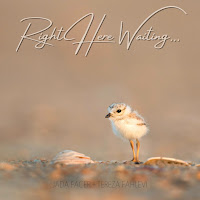 Jada Facer - Right Here Waiting (Acoustic) Ft Tereza Fahlevi загрузить
