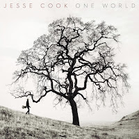 Jesse Cook - Shake загрузить