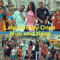 Lele - N-Ai Vrut Tigan Ft Roby Onee загрузить