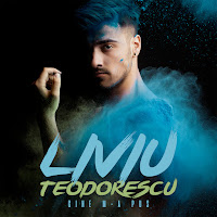 Liviu Teodorescu - Cine M-A Pus загрузить