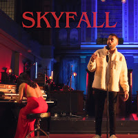 Luke Silva - Skyfall загрузить