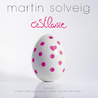 Martin Solveig - Superficial загрузить