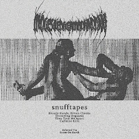 Molested Hermaphrodite - They Torn Me Apart загрузить