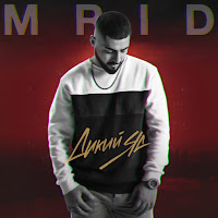 Mrid - Дикий Яд загрузить