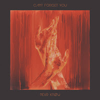 Nevr Knøw - Can't Forget You загрузить