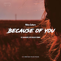 Nikko Culture - Because Of You (H.a.z.e Remix) загрузить