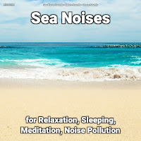 Ocean Sounds - Sound Of The Sea Ft Nature Sounds & Sea Waves Sounds загрузить