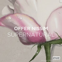 Offer Nissim - Hubby (Feat. Nasrin Kadri) загрузить