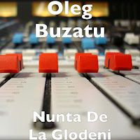 Oleg Buzatu - Trenul загрузить