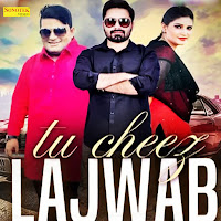 Raju Punjabi - Tu Cheez Lajwab загрузить