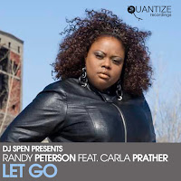 Randy Peterson - Let Go (Original Radio Edit) (Feat. Carla Prather) загрузить