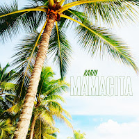Rarin - Mamacita (Sped Up) загрузить