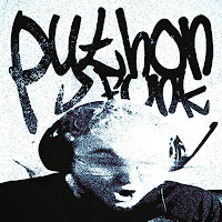 Rd12 - Python Funk (Slowed) Ft Sayfalse загрузить