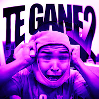 Rd12 - Te Gane, Vol. 2 (Ultra Slowed) Ft Dj Veta3 & Dj Alim & Ldrr загрузить