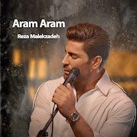 Reza Malekzadeh - Aram Aram загрузить