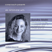 Sandra Maitri - Introduction To The Enneagram (Part 1) (Interview) загрузить