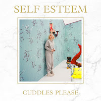 Self Esteem - Miami Memory (Cover) загрузить