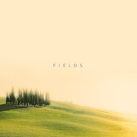 Simon Wester - Fields загрузить